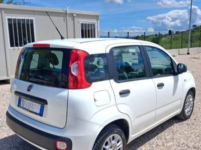 Fiat Panda Panda 1.3 MJT S&S Easy Bianco usata Laterina