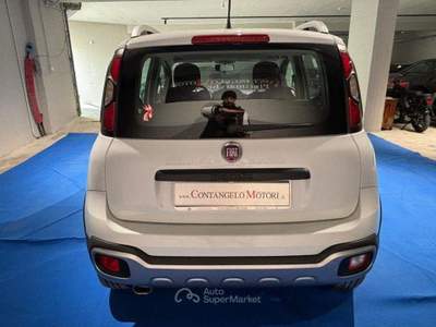 Fiat Panda Turbo S&S 4x4 usata Arzano
