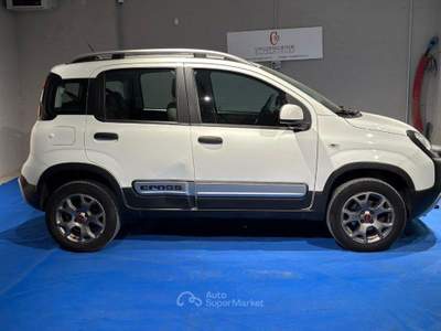 Fiat Panda Turbo S&S 4x4 usata Arzano