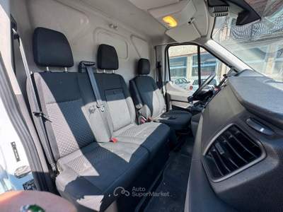 Ford Transit 310 2.0TDCi EcoBlue 170CV PL-TM Furgo usata Omegna