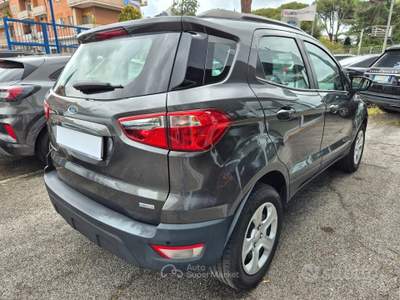 Ford EcoSport Ecoblue 100 CV Start&Stop Plus usata Ciampino