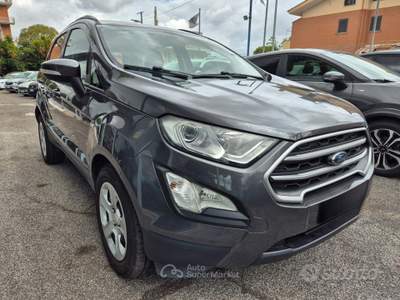 Ford EcoSport Ecoblue 100 CV Start&Stop Plus usata Ciampino