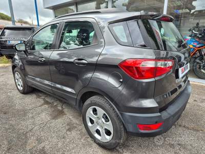 Ford EcoSport Ecoblue 100 CV Start&Stop Plus usata Ciampino