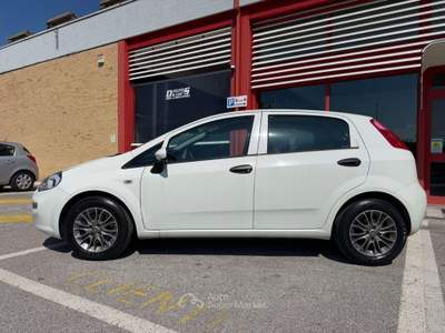 Fiat Punto 5p 1.3 mjt Lounge s, MOTORE REVISIONATO COMPLETAMENTE! Bianco usata Codroipo
