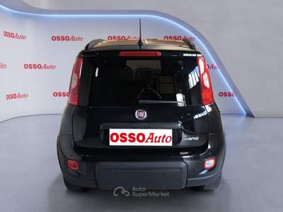Fiat Panda 1.0 HYBRID 70 HP NEOPATENTATI Nero usata Udine