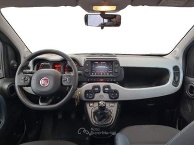 Fiat Panda Panda III 2021 Cross Panda 1.0 firefly hybrid Cross s&s 70cv usata Torino