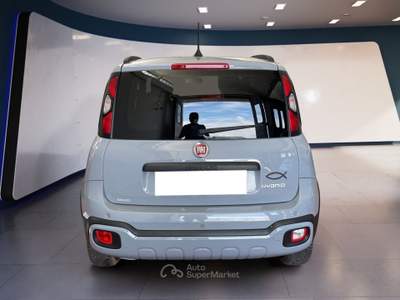 Fiat Panda Panda III 2021 Cross Panda 1.0 firefly hybrid Cross s&s 70cv usata Torino