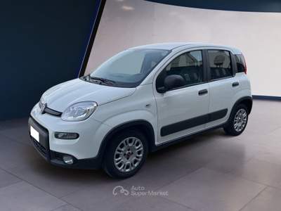 Fiat Panda III Van 2021 van 1.0 hybrid Street 70cv 4p.ti serie 4 E6d Bianco usata Torino