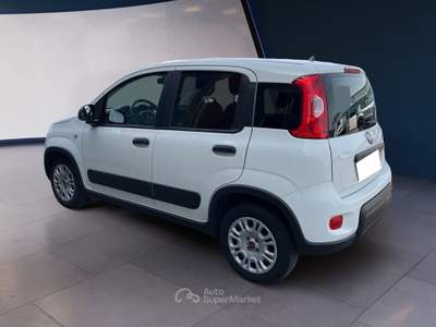 Fiat Panda III Van 2021 van 1.0 hybrid Street 70cv 4p.ti serie 4 E6d Bianco usata Torino