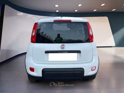 Fiat Panda III Van 2021 van 1.0 hybrid Street 70cv 4p.ti serie 4 E6d Bianco usata Torino