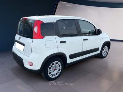 Fiat Panda III Van 2021 van 1.0 hybrid Street 70cv 4p.ti serie 4 E6d Bianco usata Torino