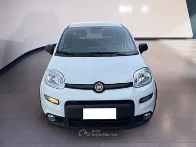 Fiat Panda III Van 2021 van 1.0 hybrid Street 70cv 4p.ti serie 4 E6d Bianco usata Torino