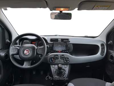Fiat Panda III Van 2021 van 1.0 hybrid Street 70cv 4p.ti serie 4 E6d Bianco usata Torino
