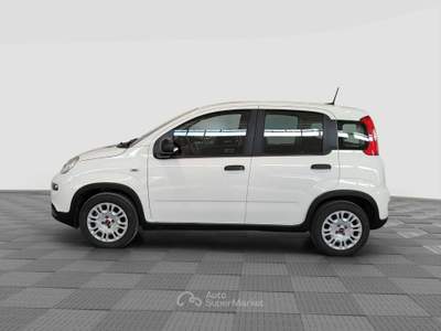 Fiat Panda 1.2 EasyPower Bianco usata Verona