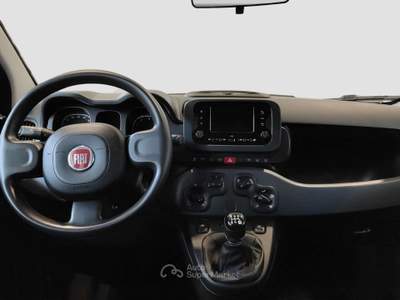 Fiat Panda 1.2 EasyPower Bianco usata Verona