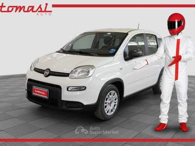 Fiat Panda 1.2 EasyPower Bianco usata Verona Fiat Panda 1.2 EasyPower Bianco usata Verona