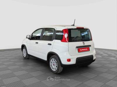 Fiat Panda 1.2 EasyPower Bianco usata Verona