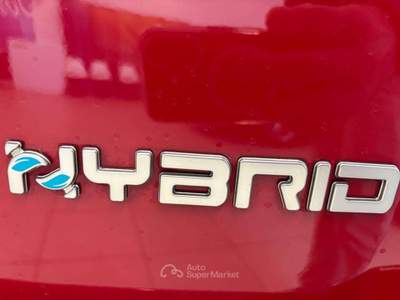 Fiat Panda CROSS PANDINA 1.0 FireFly Hybrid SPOTICAR Rosso usata Bagnaria Arsa