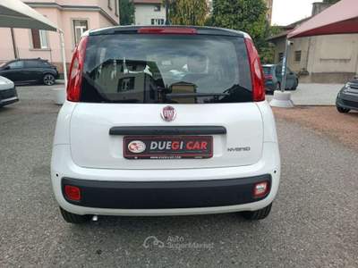 Fiat Panda 1.0 FireFly S&S Hybrid Icon Bianco usata Varese