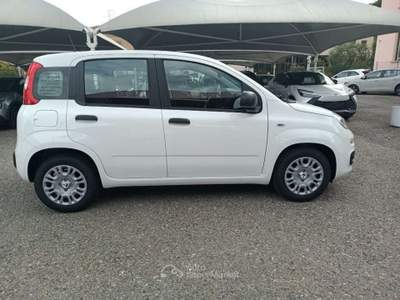 Fiat Panda 1.0 FireFly S&S Hybrid Icon Bianco usata Varese