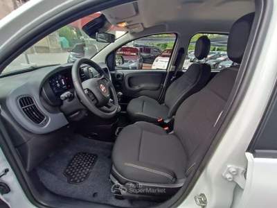 Fiat Panda 1.0 FireFly S&S Hybrid Icon Bianco usata Varese