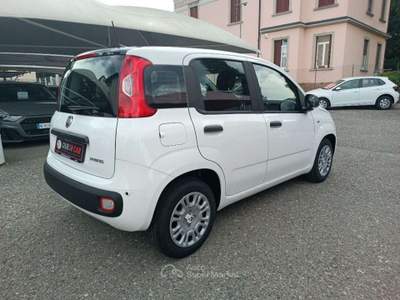 Fiat Panda 1.0 FireFly S&S Hybrid Icon Bianco usata Varese