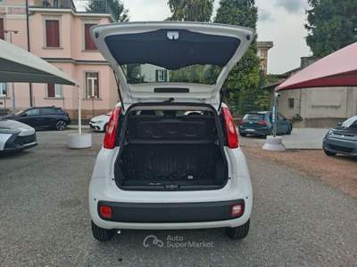 Fiat Panda 1.0 FireFly S&S Hybrid Icon Bianco usata Varese