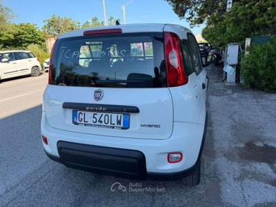 Fiat Panda 1.0 Hybrid Street Van 4 posti IVA INCLUSA Bianco usata Senigallia