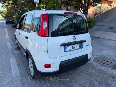 Fiat Panda 1.0 Hybrid Street Van 4 posti IVA INCLUSA Bianco usata Senigallia