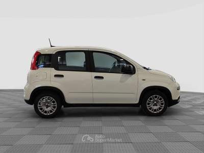 Fiat Panda 1.2 EasyPower Bianco usata Milano
