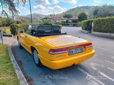 Alfa Romeo Spider Gpl Giallo usata Sant'Angelo in Vado