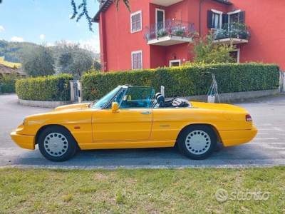 Alfa Romeo Spider Gpl Giallo usata Sant'Angelo in Vado