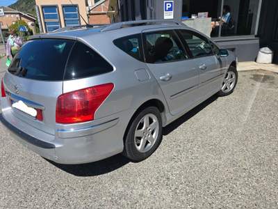 Peugeot 407 SW Ciel Tecno Grigio usata CASELETTE