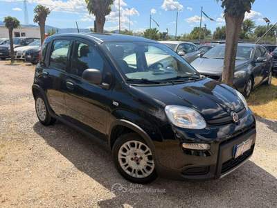 Fiat Panda - Panda - 1.0 FireFly S&S Hybrid Nero usata Prato