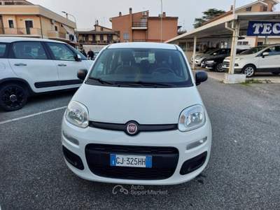 Fiat Panda 1.0 FireFly S&S Hybrid 5 posti Sedile reg altezza Bianco usata Tivoli
