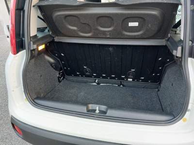 Fiat Panda 1.0 FireFly S&S Hybrid 5 posti Sedile reg altezza Bianco usata Tivoli
