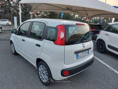 Fiat Panda 1.0 FireFly S&S Hybrid 5 posti Sedile reg altezza Bianco usata Tivoli