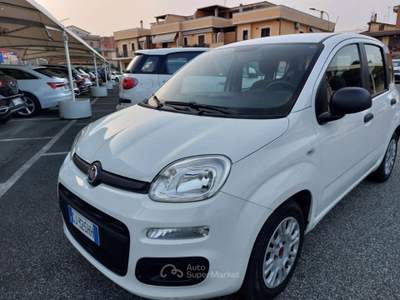 Fiat Panda 1.0 FireFly S&S Hybrid 5 posti Sedile reg altezza Bianco usata Tivoli Fiat Panda 1.0 FireFly S&S Hybrid 5 posti Sedile reg altezza Bianco usata Tivoli
