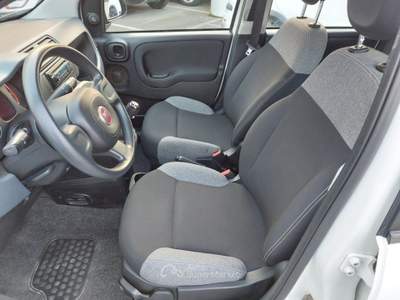 Fiat Panda 1.0 FireFly S&S Hybrid 5 posti Sedile reg altezza Bianco usata Tivoli