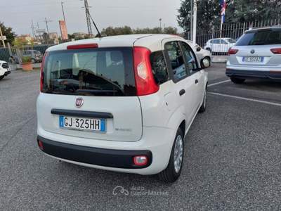 Fiat Panda 1.0 FireFly S&S Hybrid 5 posti Sedile reg altezza Bianco usata Tivoli
