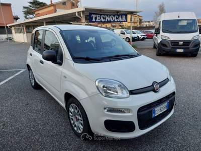 Fiat Panda 1.0 FireFly S&S Hybrid 5 posti Sedile reg altezza Bianco usata Tivoli