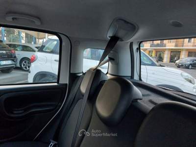 Fiat Panda 1.0 FireFly S&S Hybrid 5 posti Sedile reg altezza Bianco usata Tivoli