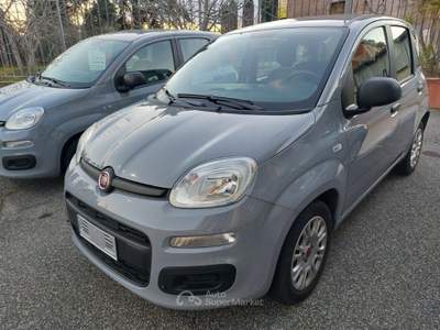 Fiat Panda 1.0 FireFly S&S Hybrid Uniprò Poss.legge 104 Grigio usata Tivoli Fiat Panda 1.0 FireFly S&S Hybrid Uniprò Poss.legge 104 Grigio usata Tivoli