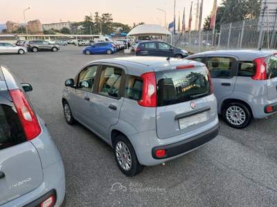 Fiat Panda 1.0 FireFly S&S Hybrid Uniprò Poss.legge 104  Grigio usata Tivoli