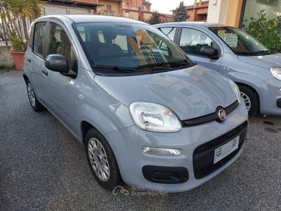 Fiat Panda 1.0 FireFly S&S Hybrid Uniprò Poss.legge 104  Grigio usata Tivoli