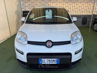 Fiat Panda SPORT 1.0 BENZINA/IBRIDA 70CV Bianco usata Giugliano