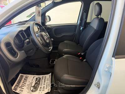 Fiat Panda SPORT 1.0 BENZINA/IBRIDA 70CV Bianco usata Giugliano