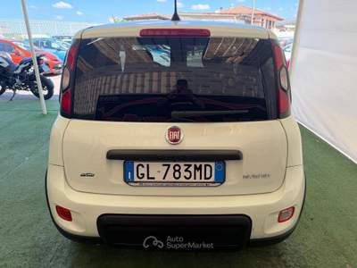 Fiat Panda SPORT 1.0 BENZINA/IBRIDA 70CV Bianco usata Giugliano