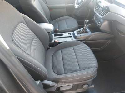 Ford Kuga 1.5 EcoBlue 120 CV 2WD Titanium Business Grigio usata Tivoli