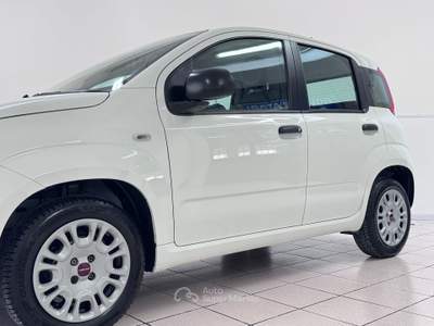 Fiat Panda 1.2 BENZINA Easy - COME NUOVA Bianco usata Pollenza